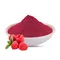 Raspberry Powder