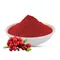 Cranberry powder